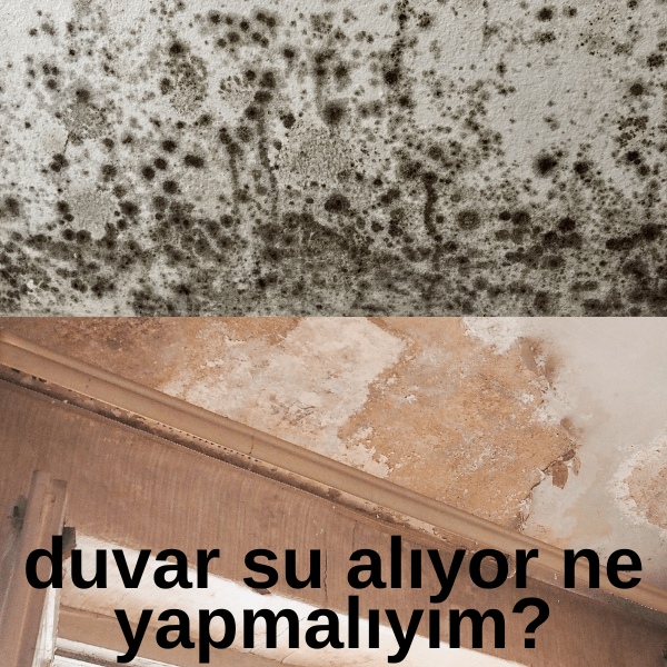 duvar su alıyor ne yapmalıyım